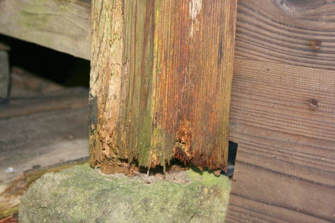 白蟻に喰われた柱