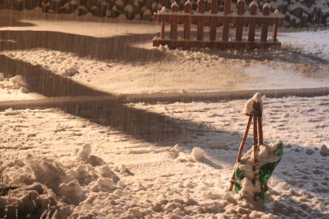 �ڂɌ�����ϐ�