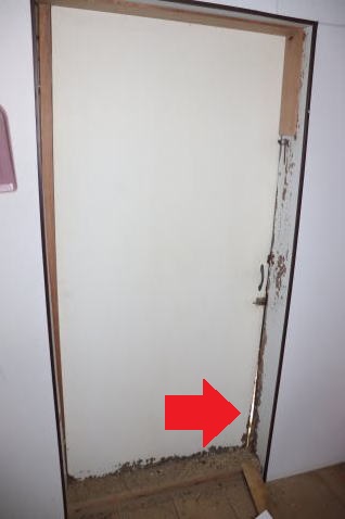 �{��d���C�U�O